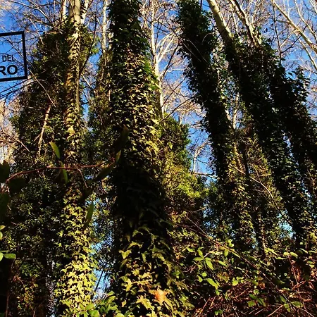 La Casa Del Herrero * El Poyo