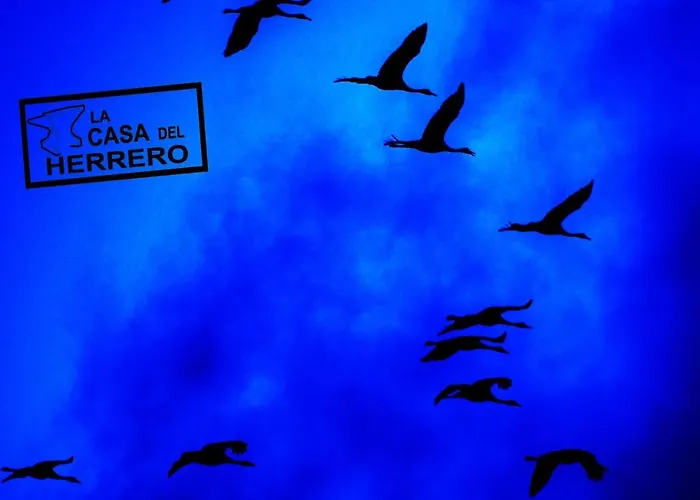 La Casa Del Herrero בית נופש